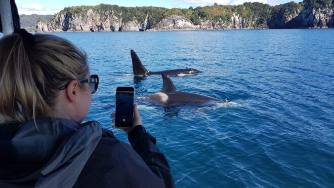 Whitianga: Cathedral Cove 2 Hour Boat Cruise - Departure Location