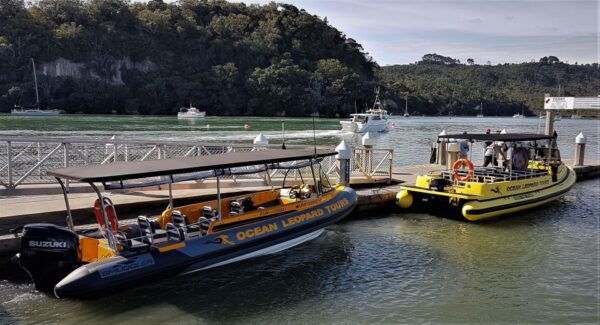 Whitianga: Cathedral Cove 2 Hour Boat Cruise - Beautiful Beaches