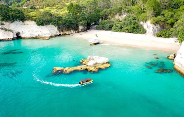 Whitianga: Cathedral Cove 2 Hour Boat Cruise - Customer Reviews