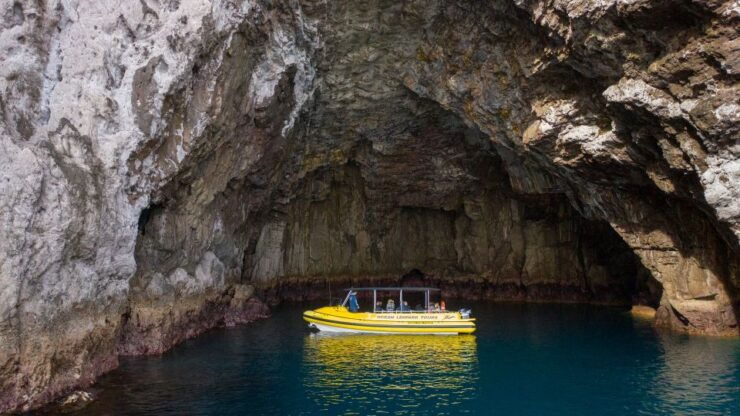 Whitianga: Cathedral Cove Highlights Boat Tour - Activity Details