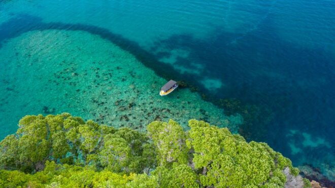 Whitianga: Cathedral Cove Highlights Boat Tour - Full Description