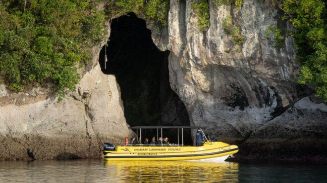 Whitianga: Cathedral Cove Highlights Boat Tour - Meeting Point