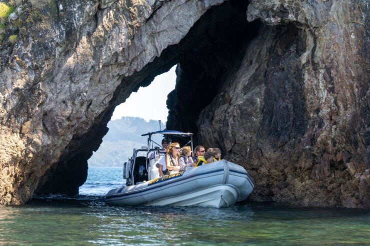 Whitianga: Cathedral Cove, Small Caves & Snorkel Boat Trip - Experience Highlights