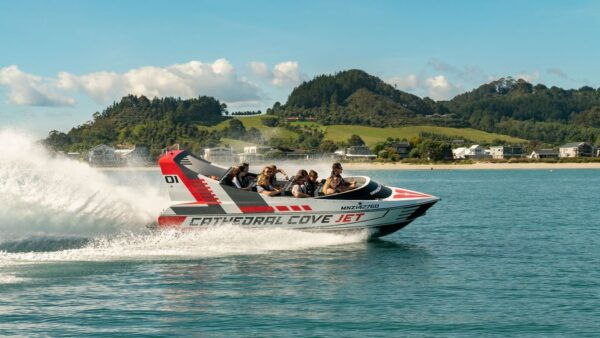 Whitianga: Jet Boat Ride to Cathedral Cove - The Sum Up