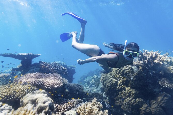 Whitsunday Explorer 2 Nights Small Ship Cruising - Accommodation and Meals