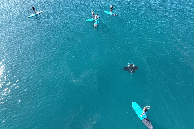 Whitsunday Islands Sail, SUP, Kayak & Snorkel Day Tour Group of 5 - Return Journey & Farewell