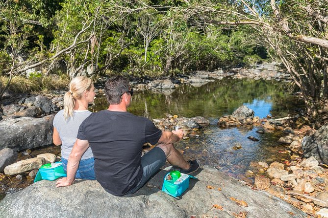 Whitsunday Segway Rainforest Discovery Tour - Traveler Tips
