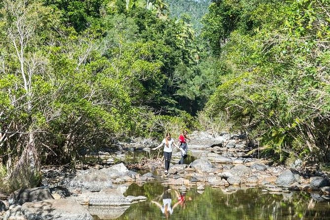 Whitsunday Segway Rainforest Discovery Tour - Viator Support