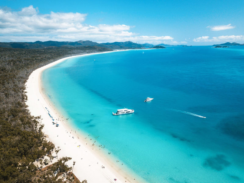 Whitsundays Cruise and Whitehaven Beach Half Day Tour - What to know before you book