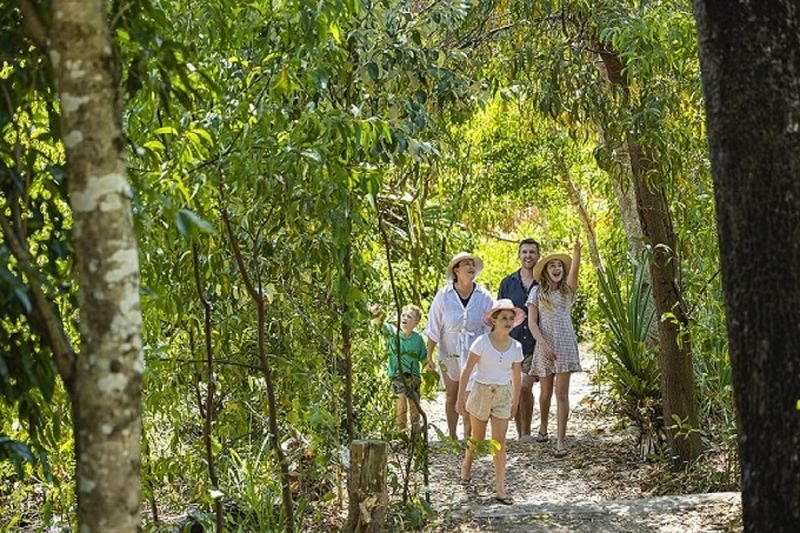 Whitsundays Cruise and Whitehaven Beach Half Day Tour - Should you book the Whitehaven Beach half-day cruise?