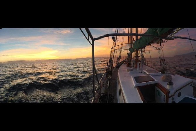 Whitsundays Sunset Sailing Cruise - Logistics and Booking Information