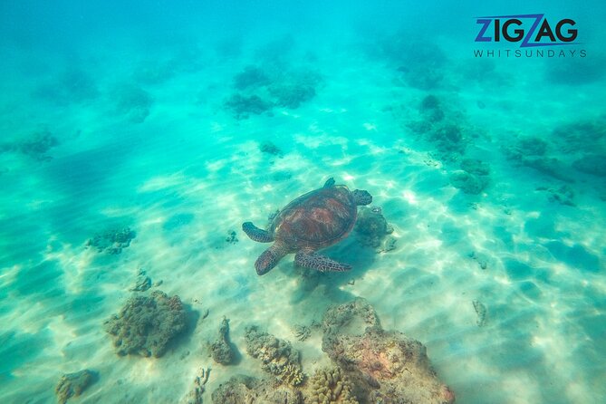 Whitsundays Whitehaven Beach Day Tour - 2 Beaches 2 Lookouts 1 Snorkel Location - The Sum Up