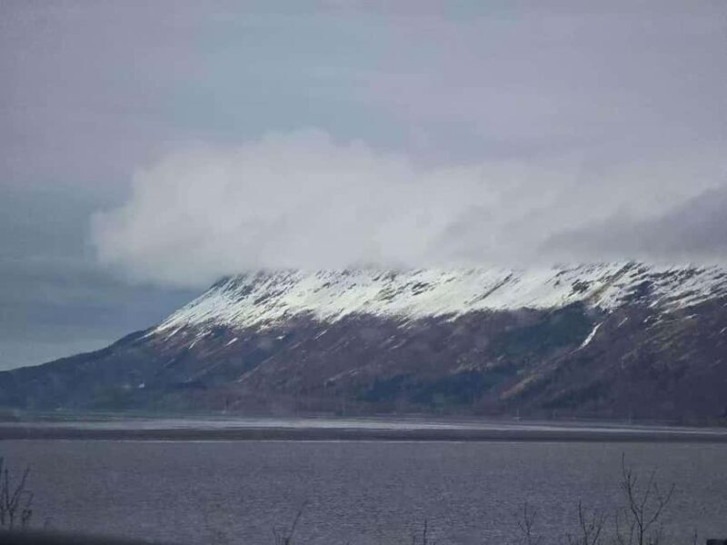 Whittier Cruise Shuttle Tour with Multiple Stops - The Itinerary: What to Expect from Start to Finish