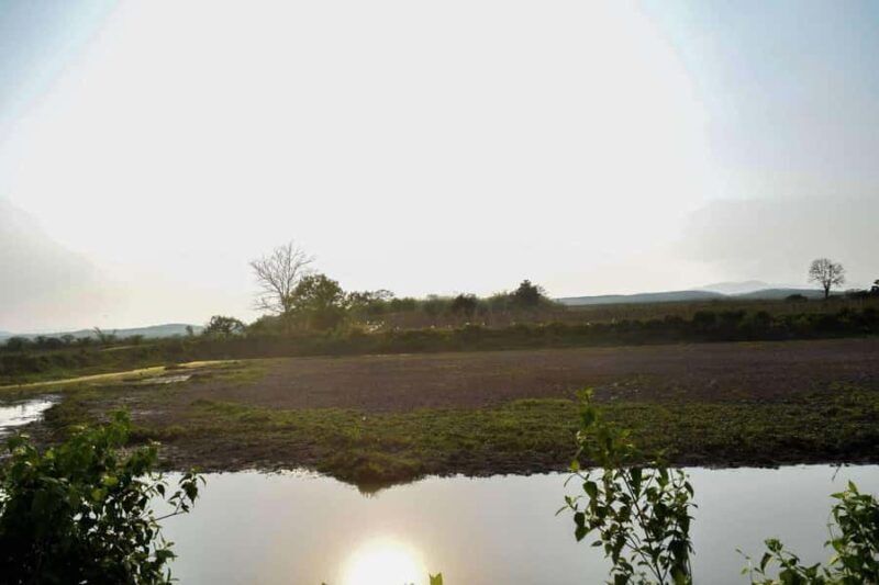 Wiang Nong Lom: Lanna Culture & Crafts Day Trip - Good To Know