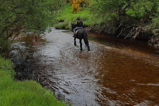 Wicklow Monutains Horse Trekking - Overview and Meeting Details