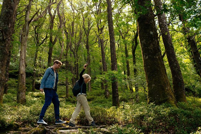 Wicklow Mountains Private Day Trip From Dublin - Tips for a Successful Day Trip