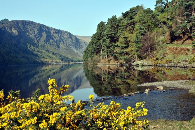 Wicklow Tour of Glendalough - Confirmation and Essential Information: What to Expect