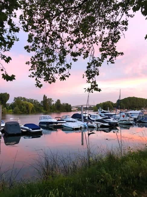 Wiesbaden: Schierstein Weekly Market & Harbor Tour - Good To Know