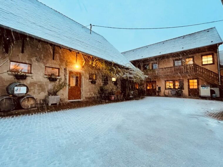 Wihr-au-Val: Wine Tasting and Cellar Tour - Exploring the Munster Valley Terroir