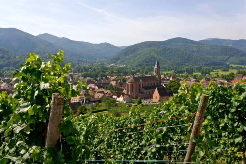 Wihr-au-Val: Wine Tasting in Alsace - What to Expect at Domaine Schoenheitz
