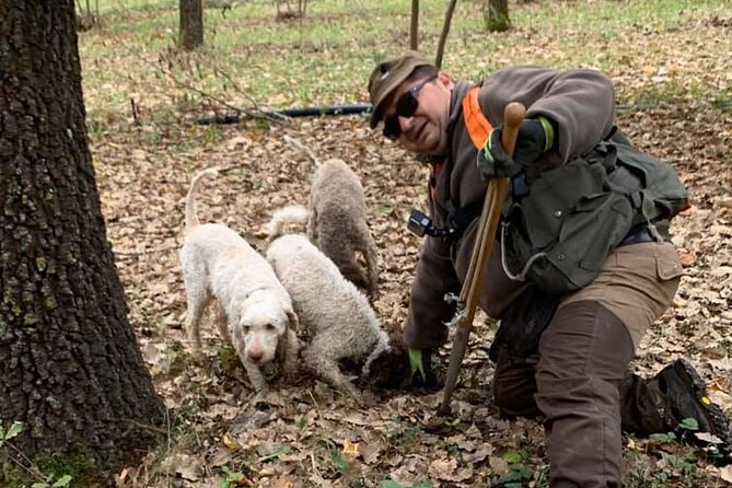 Wild Abruzzo Lands Trufflehunting Winetasting Cookingclass Experience From Rome - Flexible Booking Policy