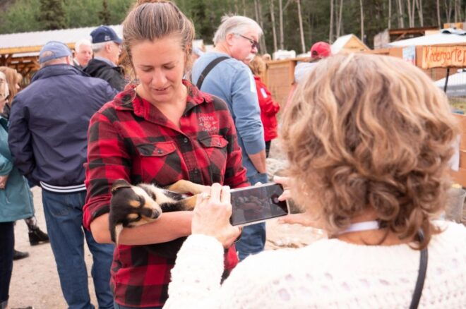 Wild Adventure Yukon Summit Tour - Live Tour Guide