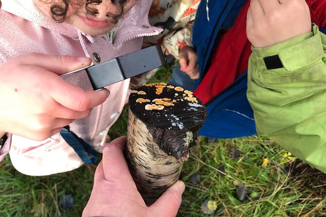 Wild Adventures in Foraging, Folklore and Nature Connection - Exploring Folklore and Mythology