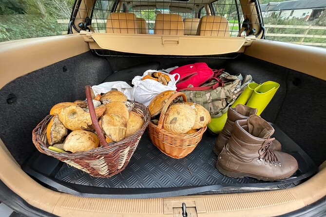 Wild Adventures in Foraging, Folklore and Nature Connection - Common Questions