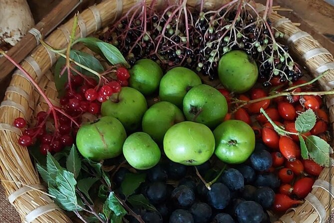 Wild Adventures in Foraging, Folklore and Nature Connection - The Sum Up