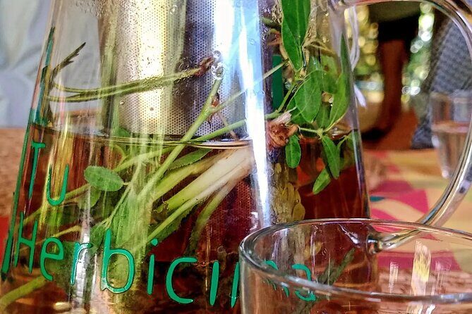 Wild and Medicinal Dominica Private Tour - Good To Know