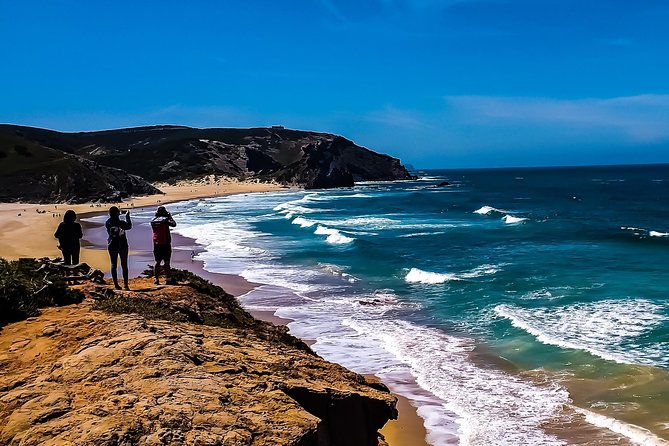 Wild and Wonderful West Coast Full Day Tour - Tour Photos and Reviews