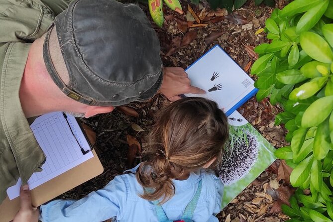 Wild Animal Treasure Hunt - Overview and Equipment