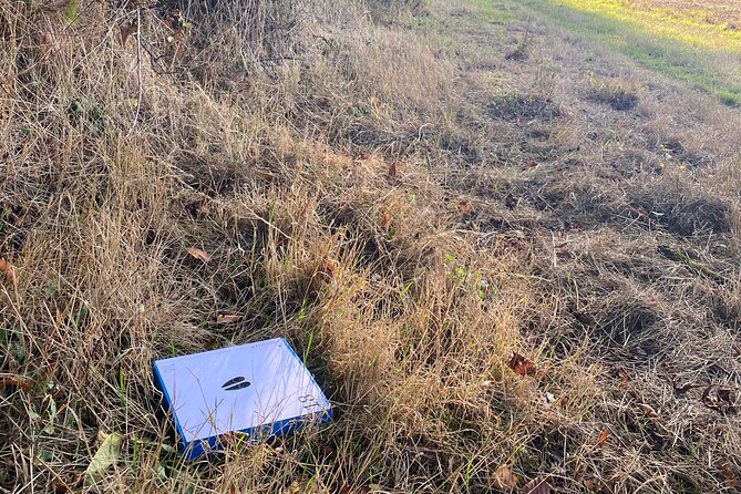 Wild Animal Treasure Hunt - What To Expect