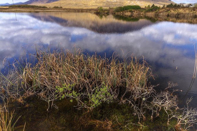 Wild Atlantic Way Self-Guided Bike Tour From Clifden - Common Questions