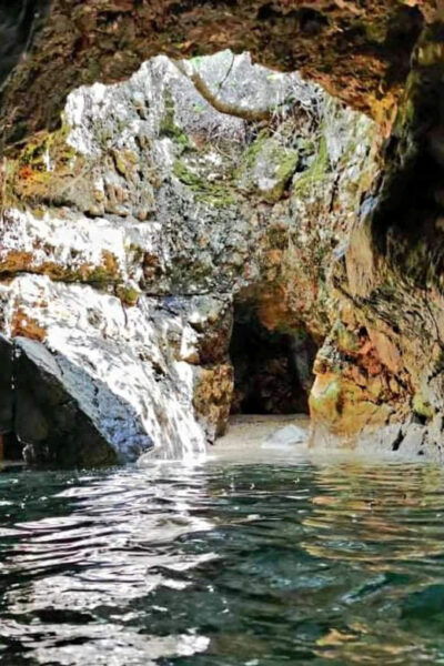 Wild Bays and Plavnik Island: a Whole Day Private Boat Tour - Pricing and Cancellation