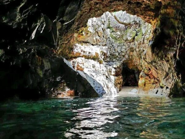 Wild Bays and Plavnik Island: a Whole Day Private Boat Tour - Frequently Asked Questions