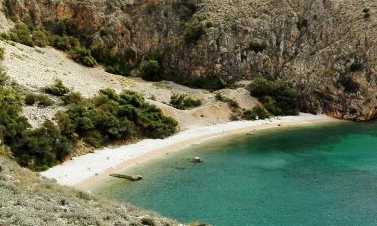 Wild Bays: Swimming and Snorkeling With Capt. Bobo (Private) - Booking Details