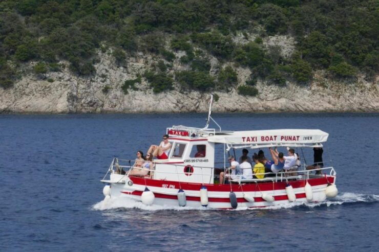 Wild Bays: Swimming and Snorkeling With Captain Bobo (3,5h) - Good To Know