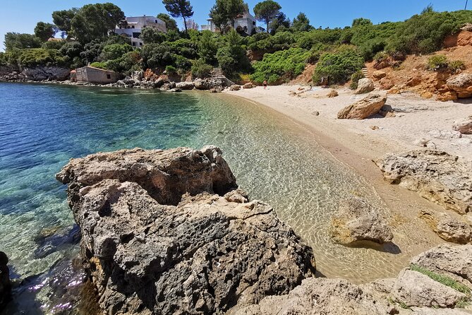 Wild Beaches & Snorkeling Tour - Beach Exploration