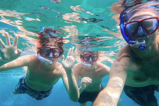 Wild Beaches & Snorkeling Tour - Wildlife Encounters