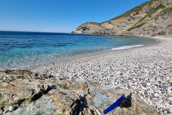 Wild Beaches & Snorkeling Tour - Tour Reviews