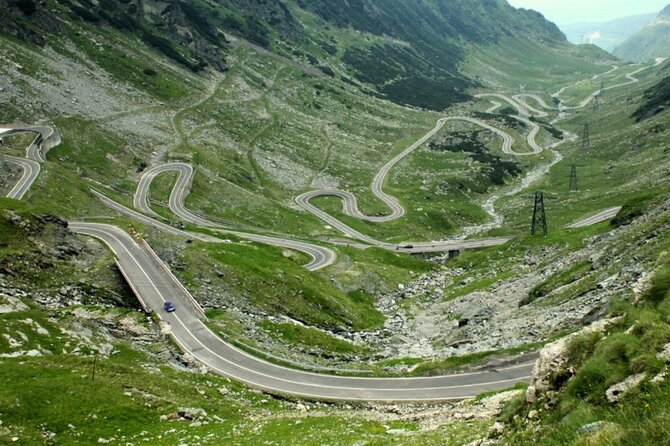 Wild Brown Bears and Top Gear Road, Small Group Max 8 Passangers - Customer Reviews