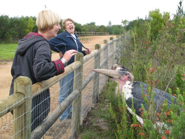 Wild Cat Experience 1-Hour Tour - Frequently Asked Questions