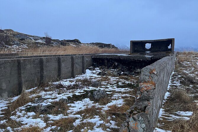 Wild Coast and WW2 History Tour on ATV - Who Is This Tour Best For?