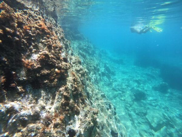 Wild Coast Discovery - Booking Information