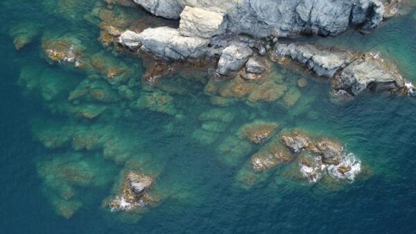 Wild Coast Discovery - Participant Eligibility Criteria