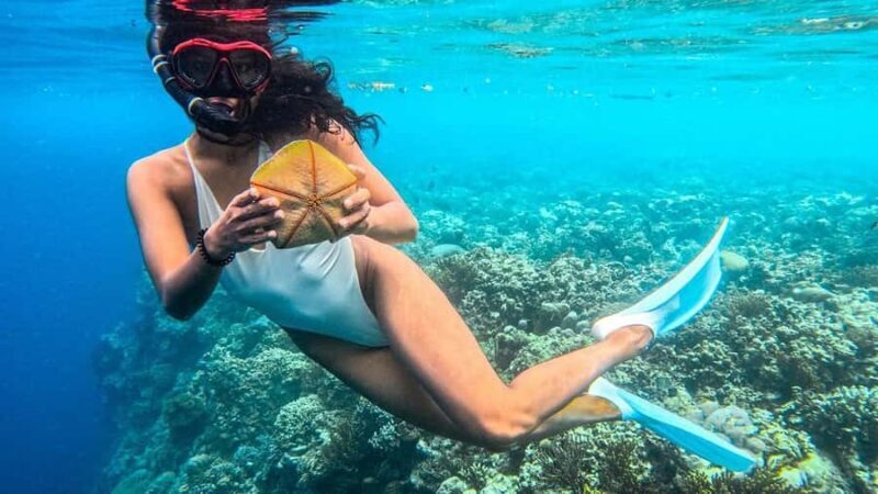 Wild Day Tour: Baluran National Park & Tabuhan Island - Exploring Bali and Java: The Heart of the Tour