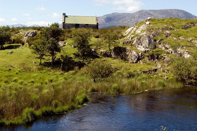 Wild Deer Viewing Safari From Letterfrack, Connemara - Expert Guide to Enhance Your Safari Experience