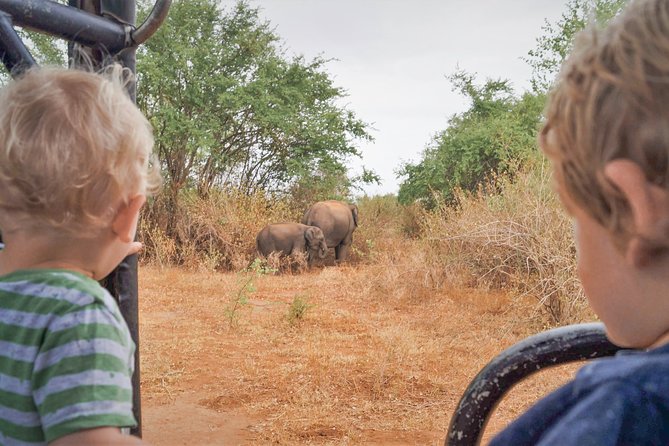 Wild Elephant Private Safari From Minneriya - Overview of the Safari