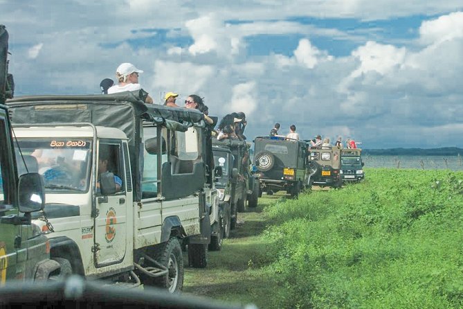 Wild Elephant Private Safari From Minneriya - Morning or Afternoon Safari Options